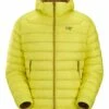 Arc'teryx Cerium Hoody Men