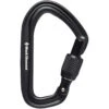 Black Diamond HotForge Screwgate Carabiner
