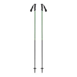 Black Crows Stans Pole -Skiudstyr Butik black crows stans green