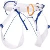 Blue Ice Choucas IV Harness