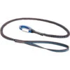 Blue Ice Solo Leash