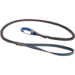 Blue Ice Solo Leash