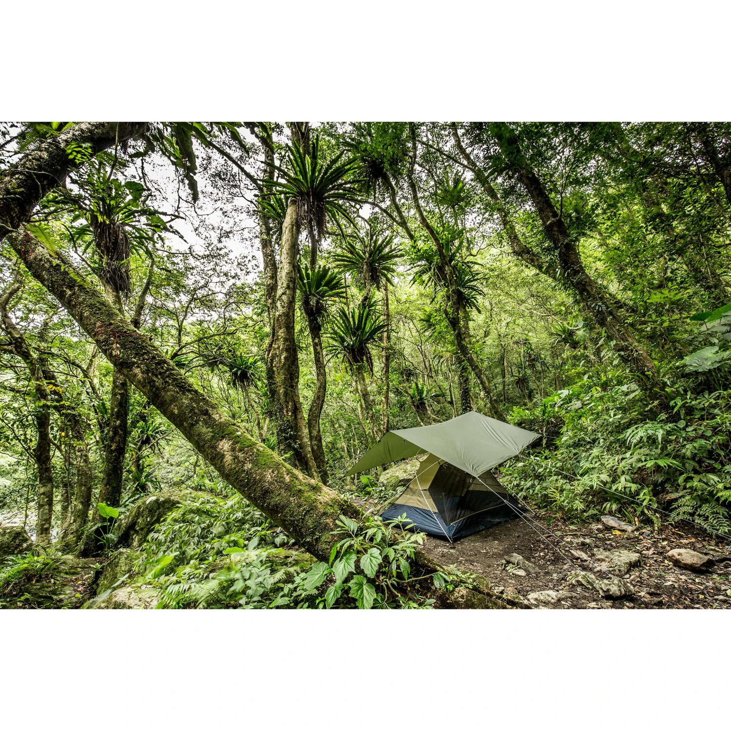 FJÄLLRÄVEN Fjällräven Abisko Tarp Large Pine Green 3 FJÄLLRÄVEN Fjällräven Abisko Tarp Large Pine Green - Billede 3