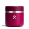 Hydro Flask Insulated Food Jar 20oz / 591ml