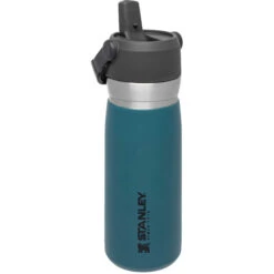 Stanley The IceFlow™ Flip Straw Water Bottle 0,65L