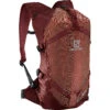 Salomon Mountain 15 Backpack