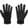 Ortovox Alpine Pro Glove Men