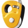 Petzl Micro Traxion