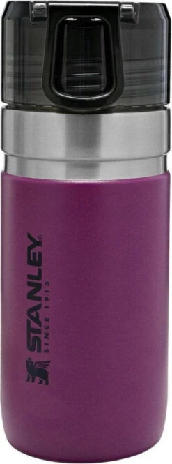 Stanley The Vacuum Insulated Water Bottle 0,47L -Skiudstyr Butik stanley water bottle 0.47l berry