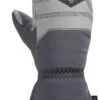 Dakine Team Excursion Gore-Tex Mitt