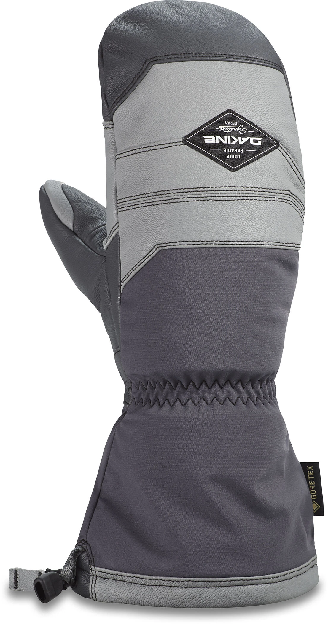 Dakine Team Excursion Gore-Tex Mitt 1 Dakine Team Excursion Gore-Tex Mitt