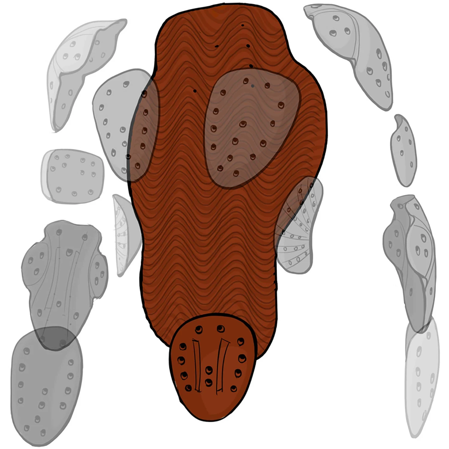 Xion Sleeveless Vest Freeride Mens 4 Xion Sleeveless Vest Freeride Mens - Billede 4